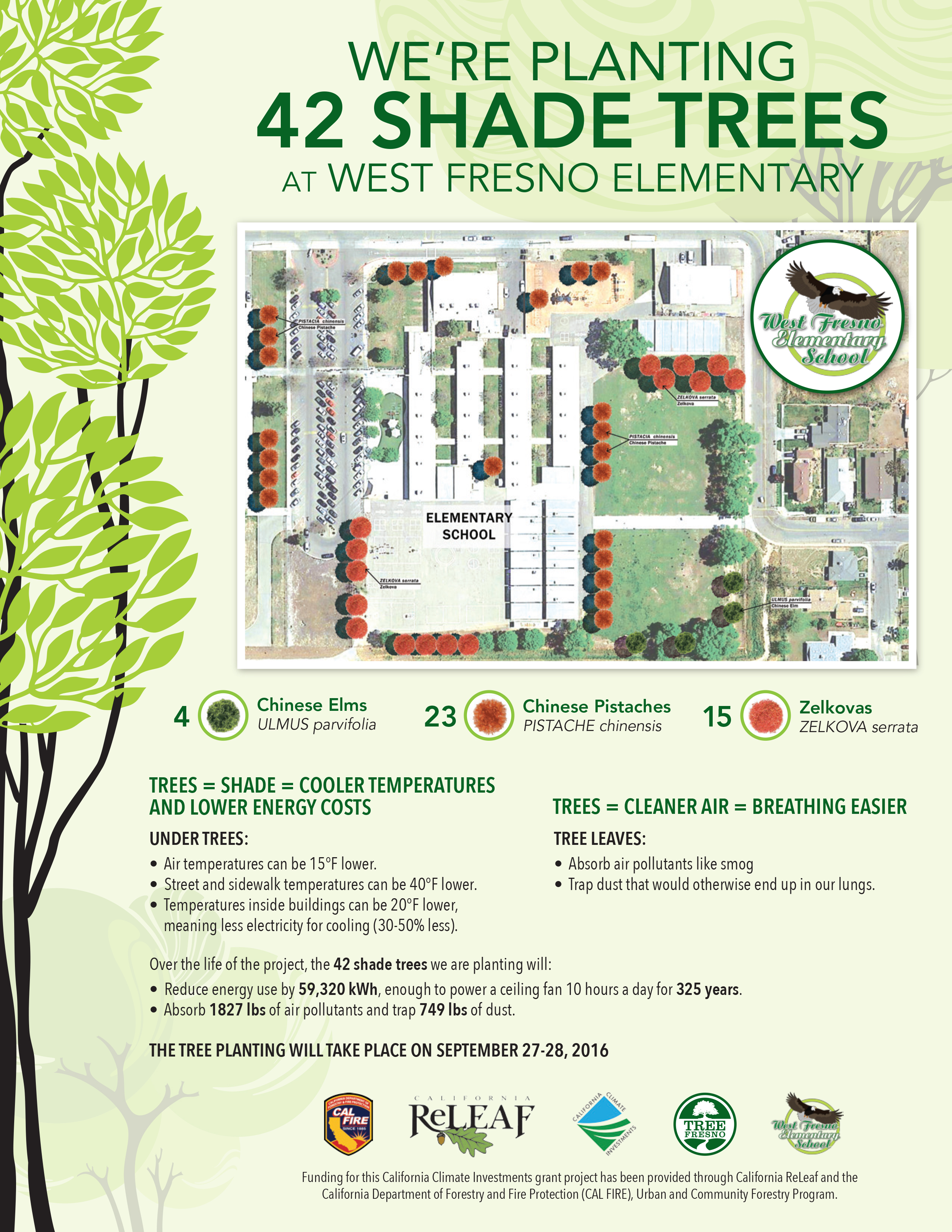 TF W_Fresno Elm Tree Map Flyer 49747